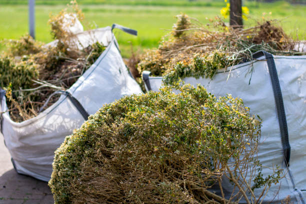 Attic Cleanout Services in Monett, MO